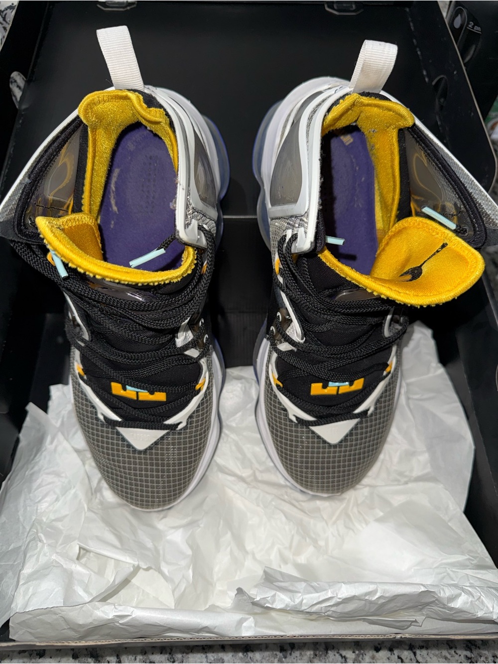 Nike LeBron 19 “Graduate” high top Basketball Sneakers